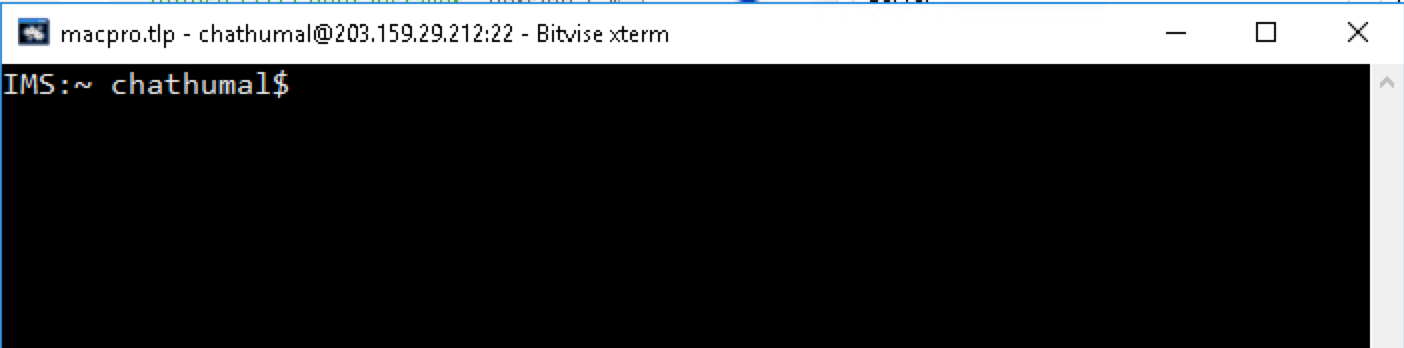 BitVise xterm